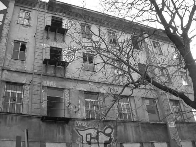photo.jpg