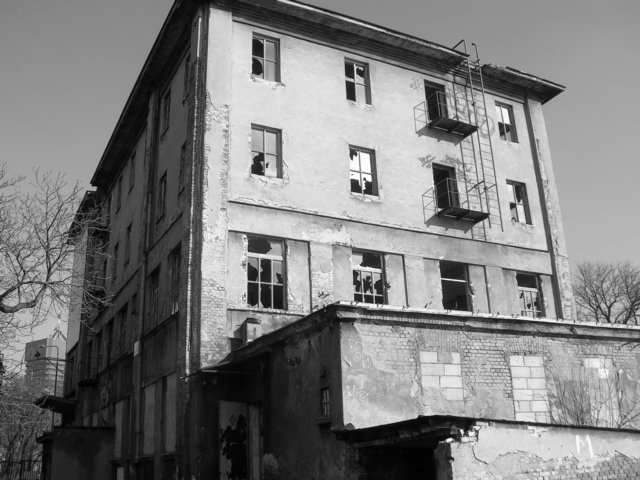 photo3.jpg