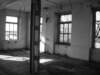 photo4_small.jpg