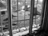 photo5_small.jpg