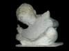 plastyk2/photo24_small.jpg