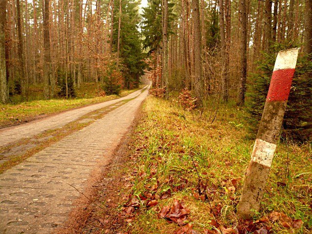 photo.jpg