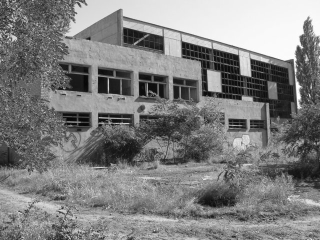photo.jpg