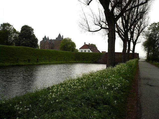 photo.jpg