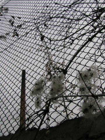 photo10.jpg