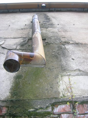 photo8.jpg