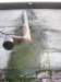 photo8_small.jpg