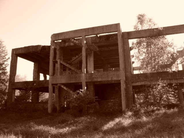 photo4.jpg