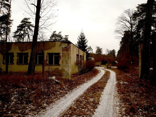 photo.jpg