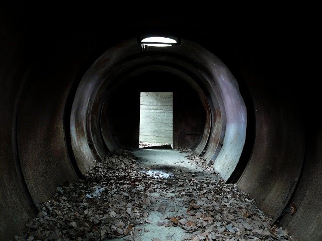 photo10.jpg