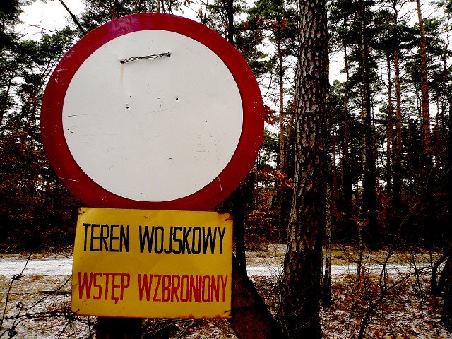 photo13.jpg