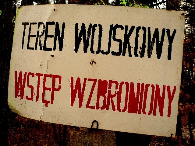photo7.jpg