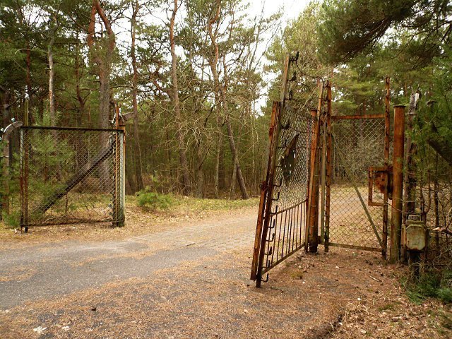 photo.jpg