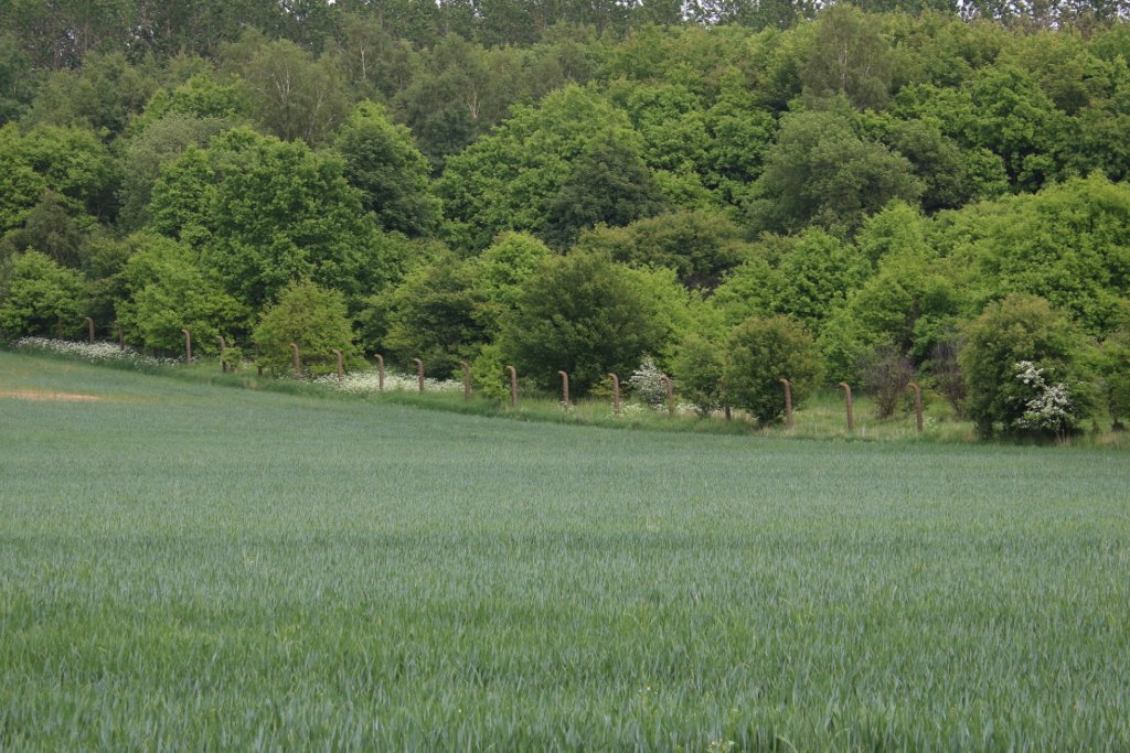 photo.jpg