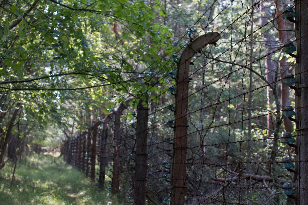 photo.jpg