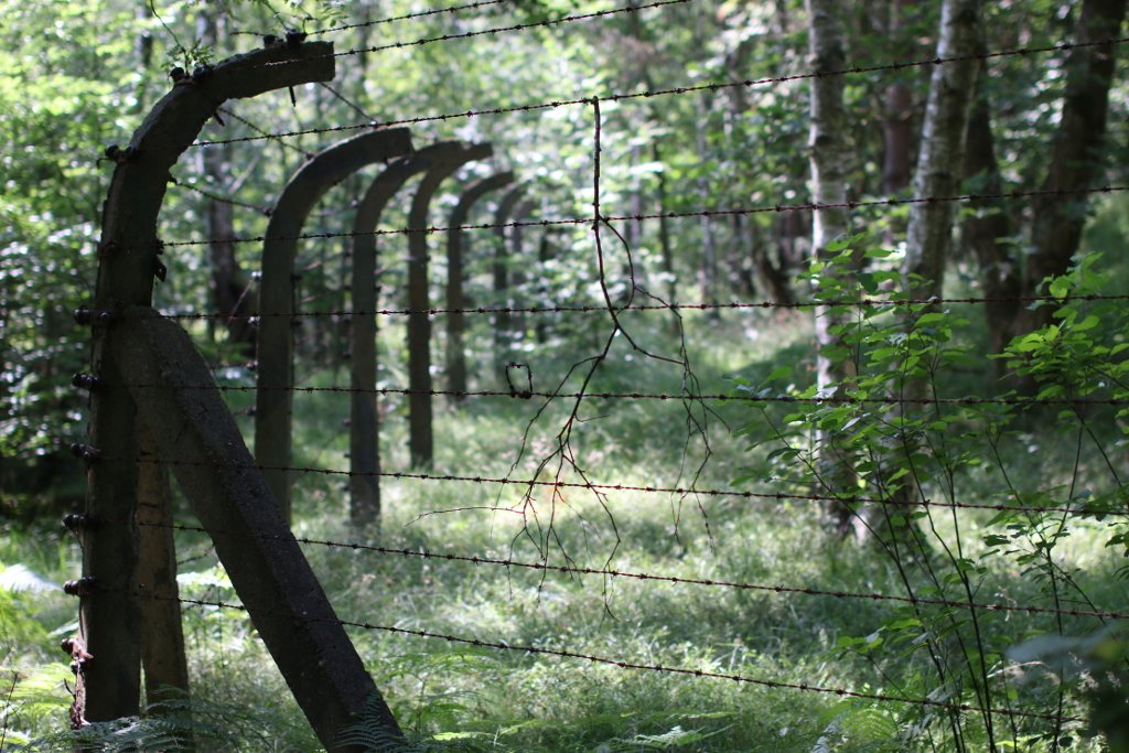photo.jpg