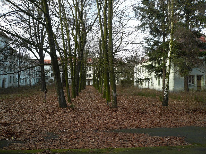 photo.jpg