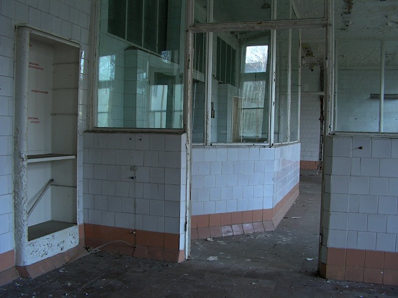 photo7.jpg