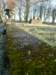 photo12_small.jpg
