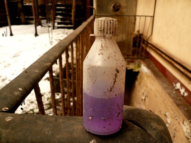 photo31.jpg