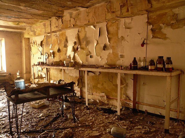 photo36.jpg