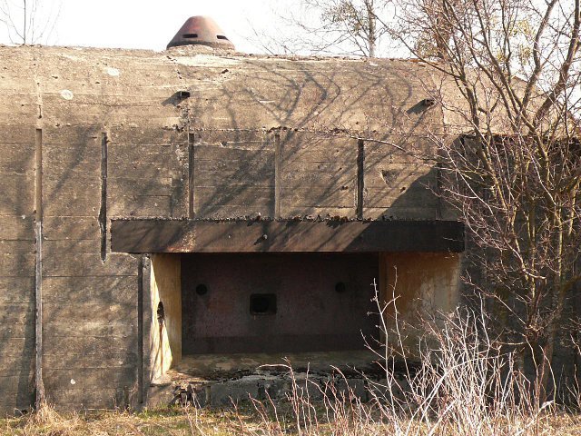 photo6.jpg