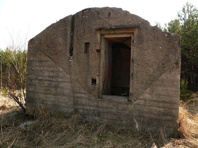 photo8.jpg