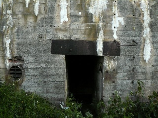 photo11.jpg