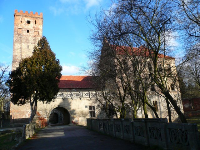 photo.jpg