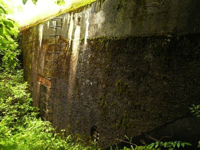 photo.jpg