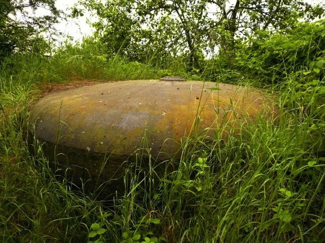 photo11.jpg