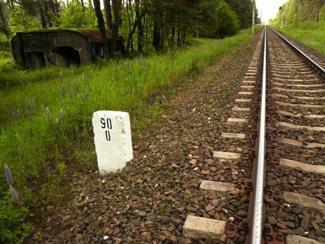 photo15.jpg