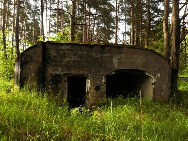 photo7.jpg