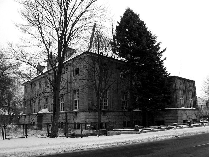 photo9.jpg