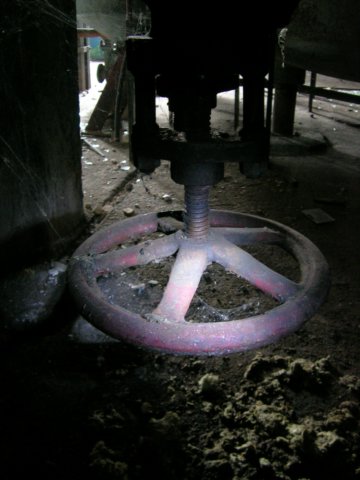 photo7.jpg