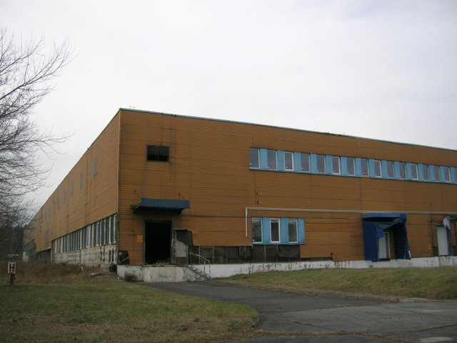 photo.jpg