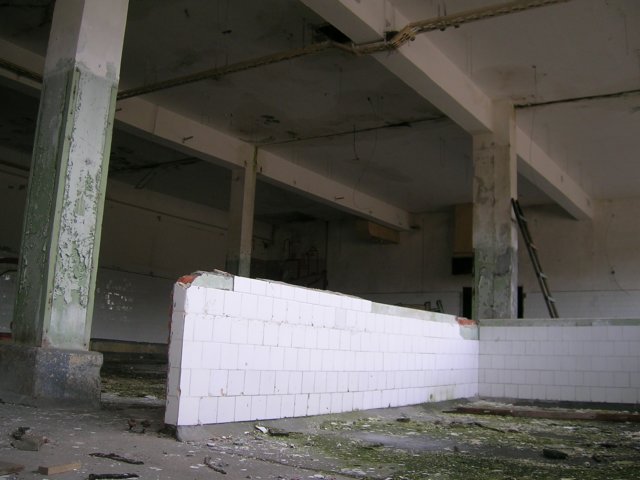 photo7.jpg
