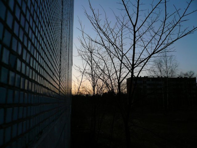 photo11.jpg
