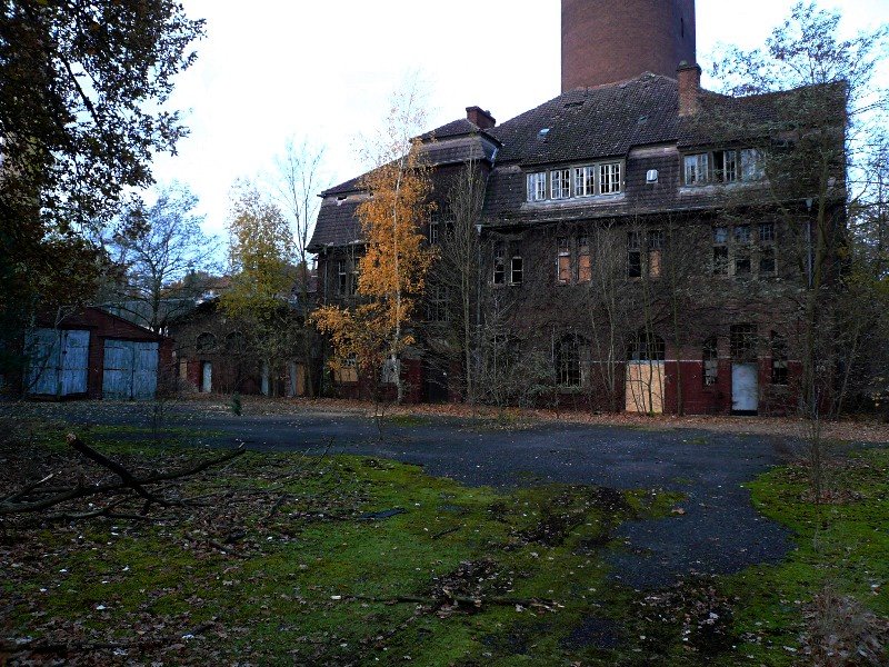 photo.jpg