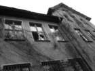 photo7_small.jpg