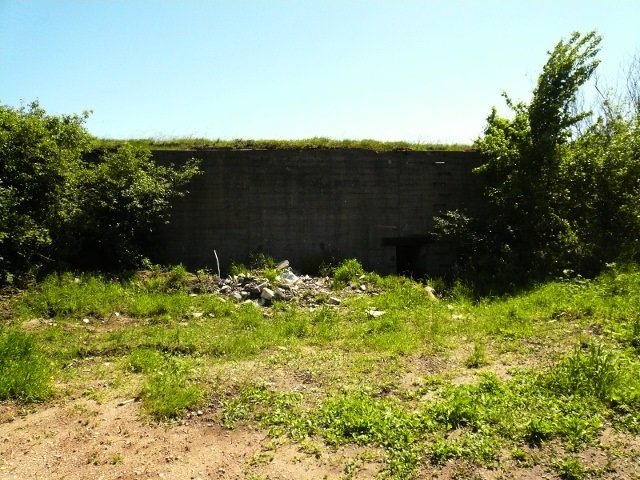 photo.jpg