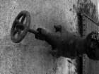 photo5_small.jpg