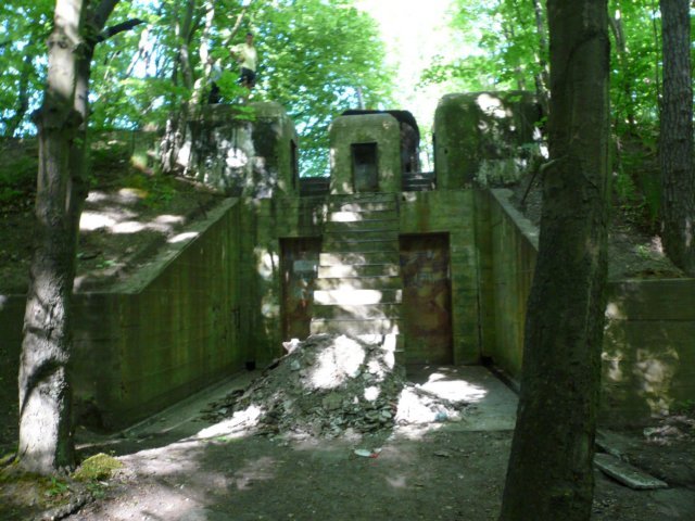photo5.jpg