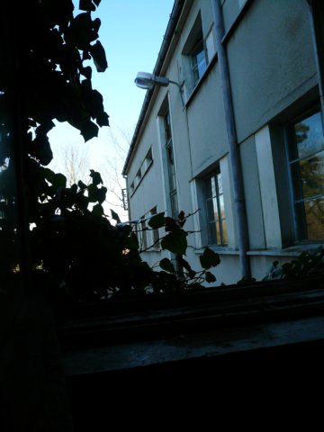 photo14.jpg