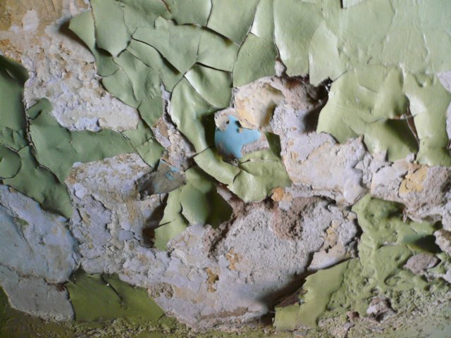photo26.jpg