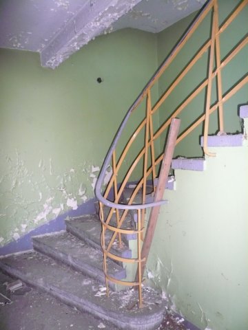 photo4.jpg