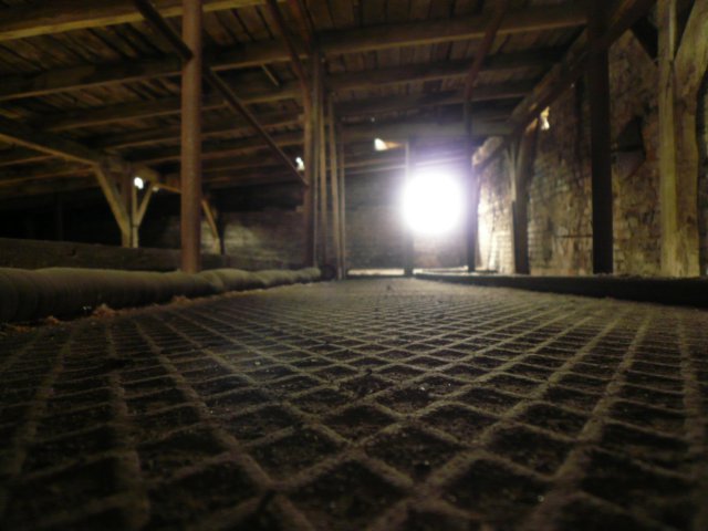 photo11.jpg