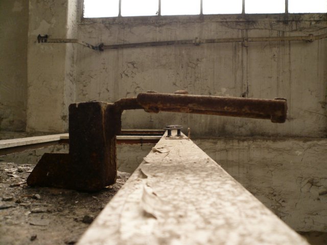 photo7.jpg