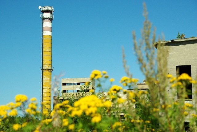 photo.jpg