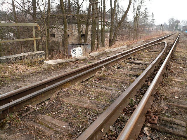photo.jpg